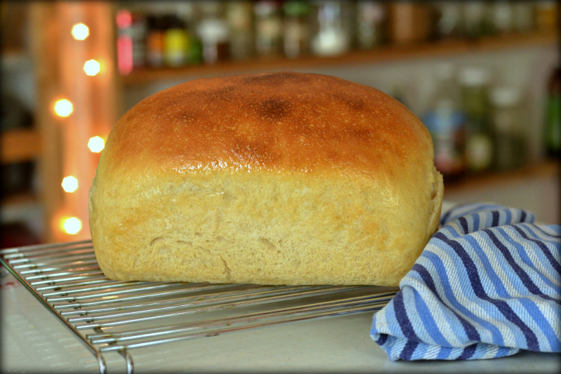 Sourdough 2