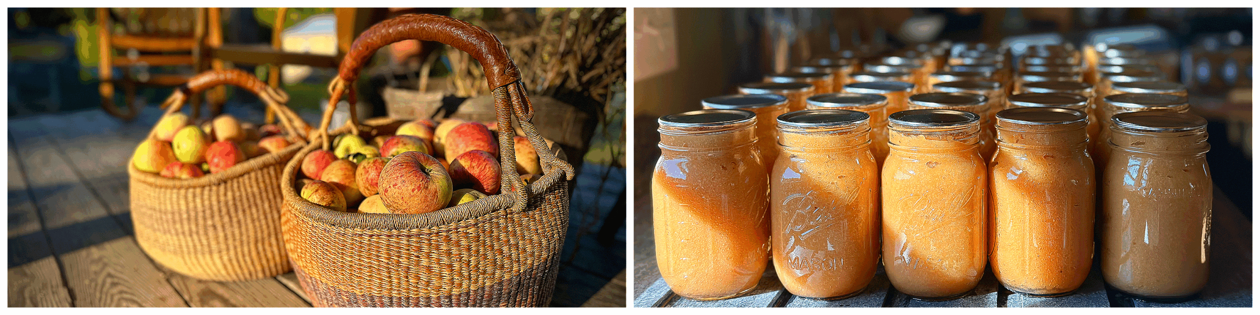 applesauce spice cake 1