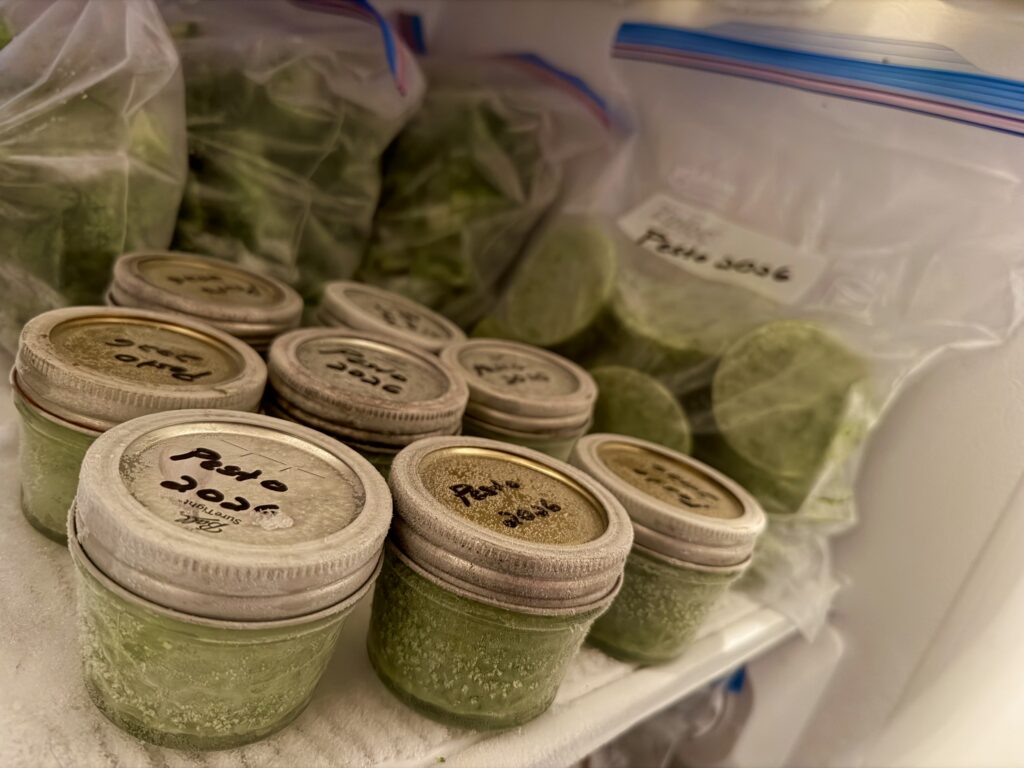 Frozen homemade basil pesto in labeled glass jars stored in the freezer.
