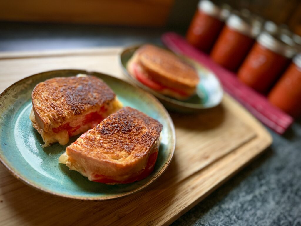 Golden tomato grilled cheese sandwiches with melted cheddar and garden tomatoes