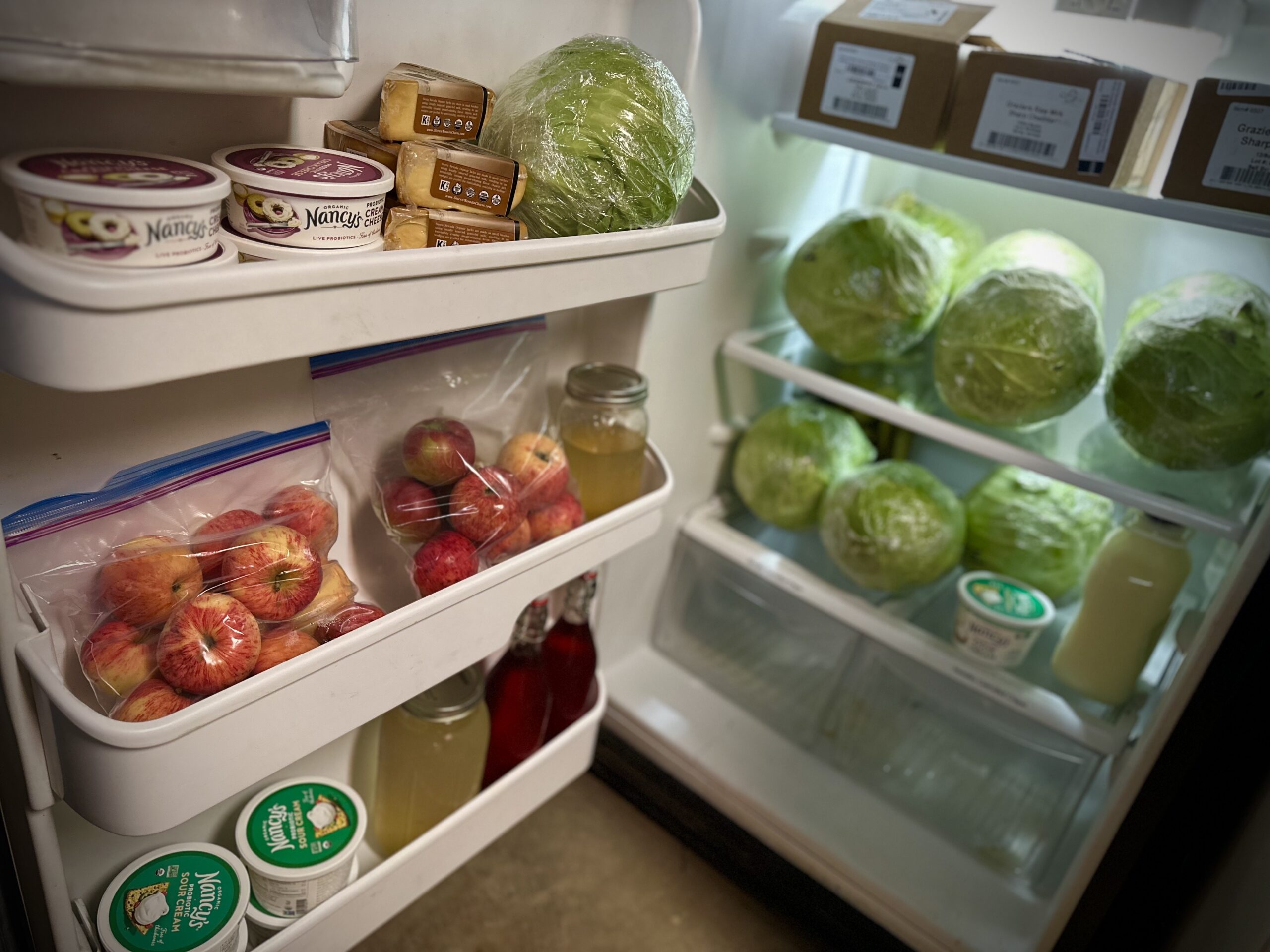 Heads of fresh cabbage filling the refrigerator before making homemade stuffed cabbage rolls.