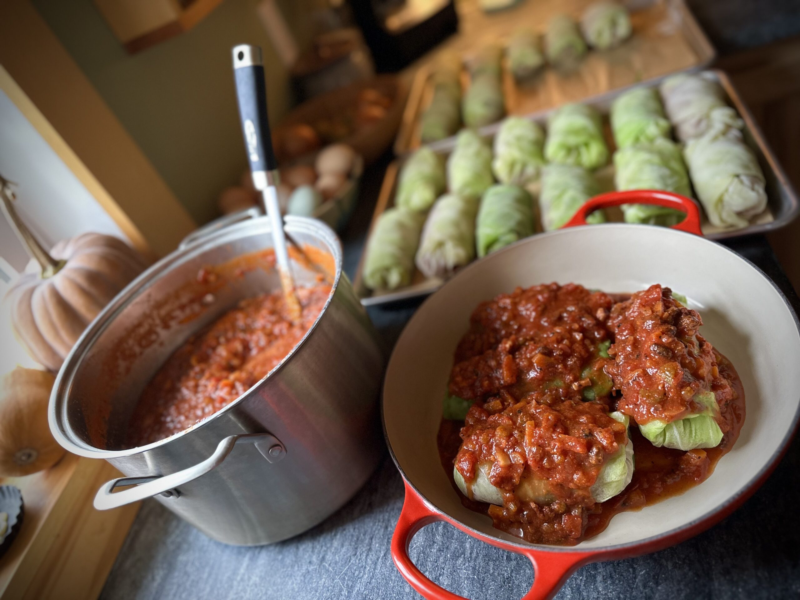 Homemade stuffed cabbage rolls assembled with tomato sauce, with more cabbage rolls and a pot of sauce in the background.