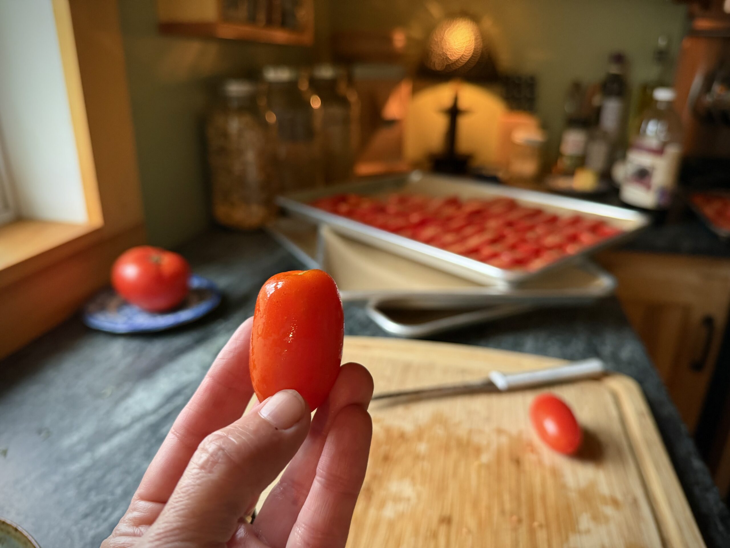 A freshly harvested Juliet tomato held between fingers to show its small, elongated shape, with prepared tomatoes on baking sheets in the background.