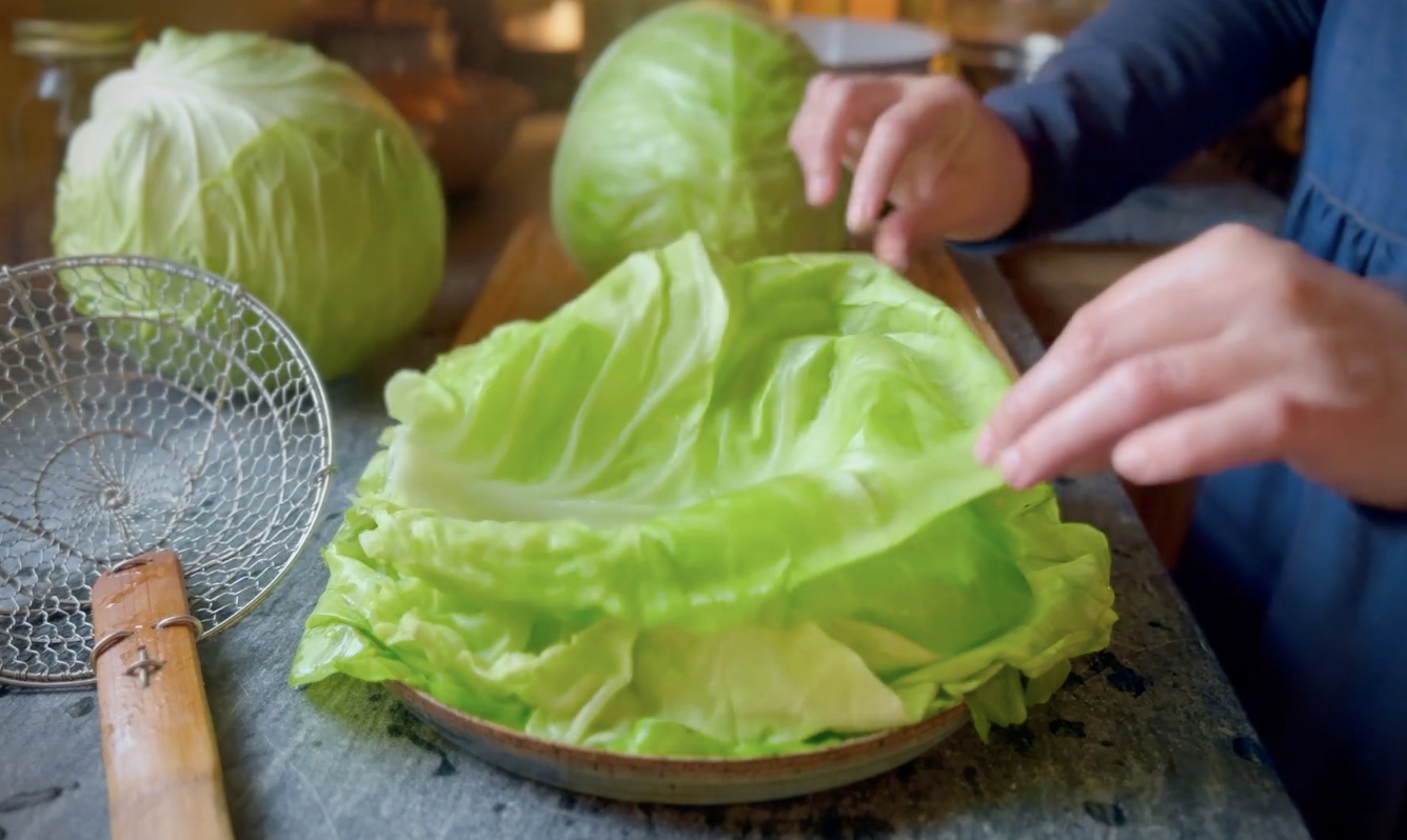 Softened cabbage leaves ready to fill and roll for homemade stuffed cabbage rolls.